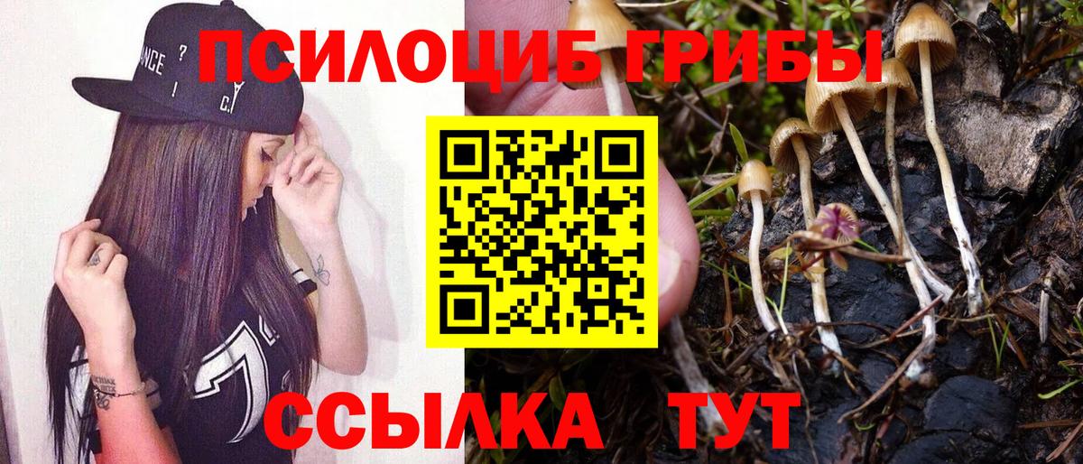 Галлюциногенные грибы Magic Shrooms Тихорецк