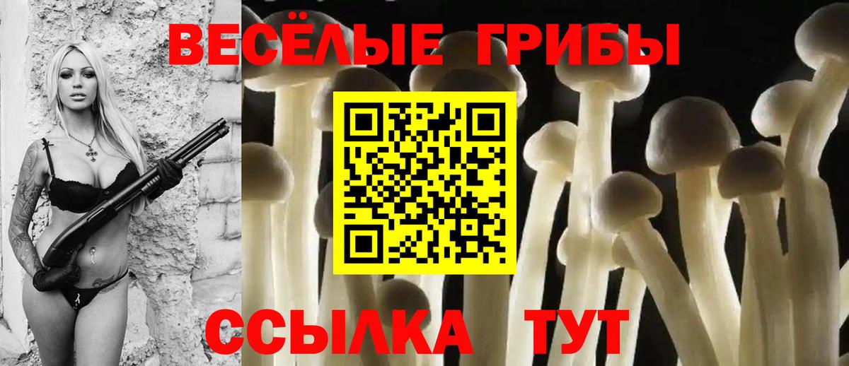Тихорецк  Галлюциногенные грибы мухоморы  Вход с VPN 